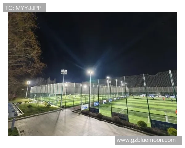 南京足球队的华丽转身：从传统强队到现代化足球俱乐部的蜕变之路